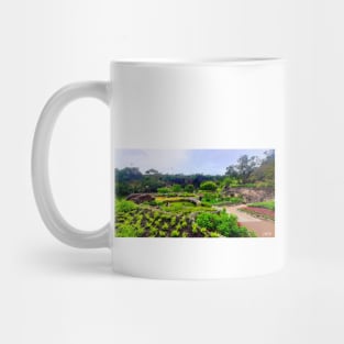 zen garden in japanese wetland park photograph art Mug